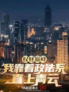 权财巅峰:我靠着政法系直上青云